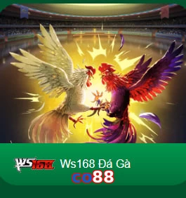 co88